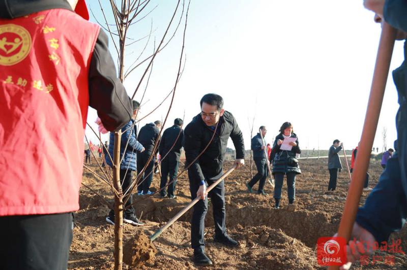 植树.jpg