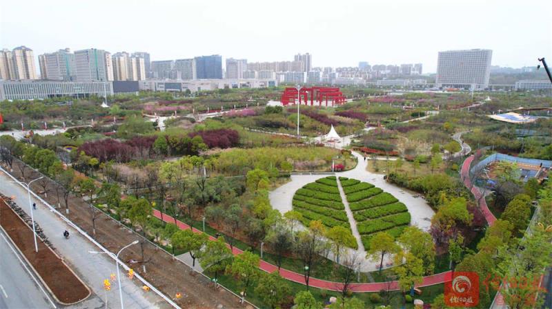 百花1.jpg 百花1.jpg