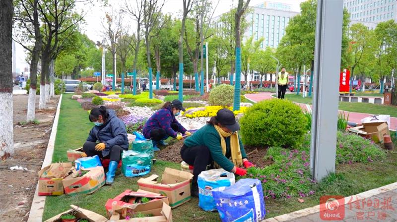 百花4.png 百花4.png