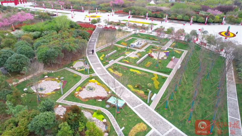 百花6.png 百花6.png